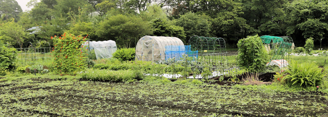 アタリヤ農園のホームガーデン百科