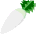 Japanese radish
