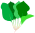 Spinach