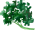 Parsley
