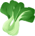 Pak choi