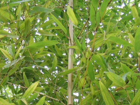 unknown_05a