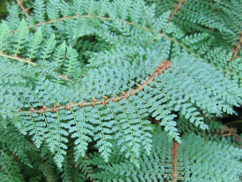 unknown_06a