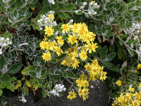 unknown_26a
