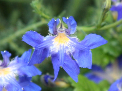 unknown_67a